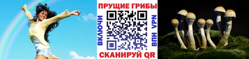 Купить где  Комсомольск-на-Амуре  Псилоцибиновые грибы прущие грибы 